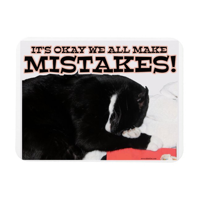 Magnet Flexible Nous Faisons Toutes Des Erreurs Encouragement Chat (Horizontal)