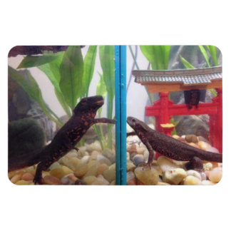 Magnet Flexible Nouveaux contacts avec l'aimant