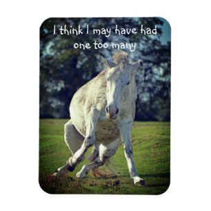 Magnet Flexible Nouvelle Forêt White Pony Funny Pose