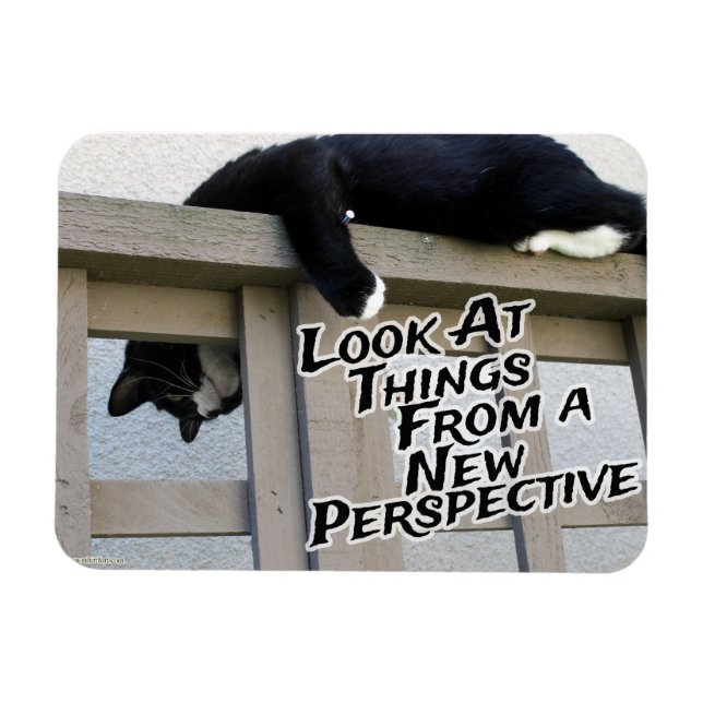 Magnet Flexible Nouvelle perspective (Horizontal)