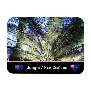 Magnet Flexible Nouvelle-Zélande, Forêt de Fern Tree / Randonné