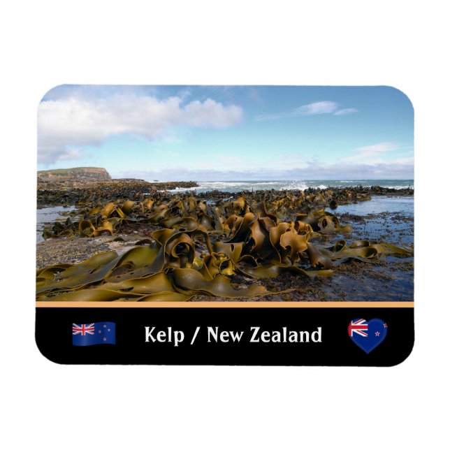Magnet Flexible Nouvelle-Zélande, Kelp Coast - Curio Bay /Les Catl (Horizontal)