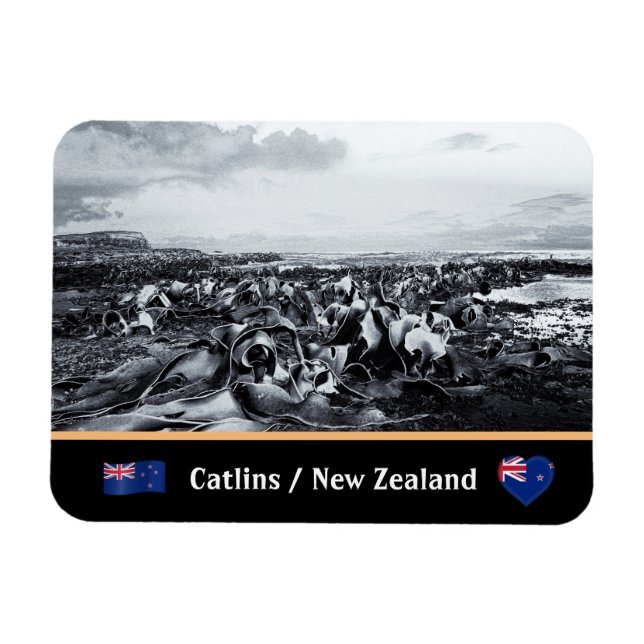 Magnet Flexible Nouvelle-Zélande, Kelp Coast - Curio Bay /Les Catl (Horizontal)