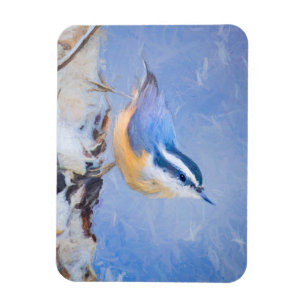 Magnet Flexible Nuthatch à poitrine rouge Peinture d'art original