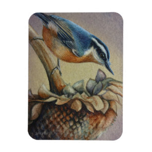 Magnet Flexible Nuthatch Oiseau et graines de tournesol Aquarelle 
