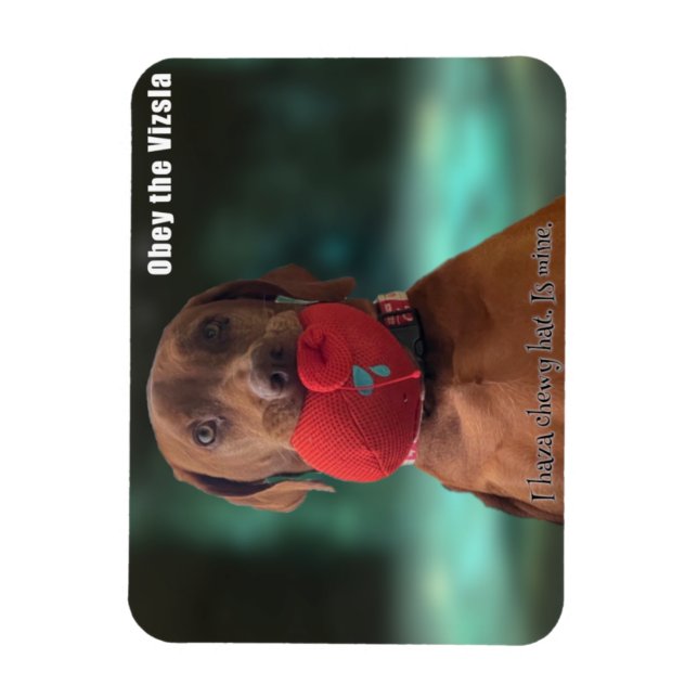 Magnet Flexible Obey le Casquette Chewy Vizsla (Vertical)