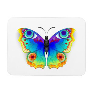 Magnet Flexible Oeil de paon arc-en-ciel