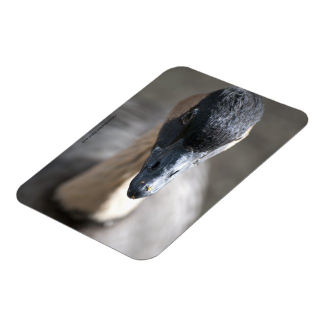 Magnet Flexible Oie (Côté Gauche)