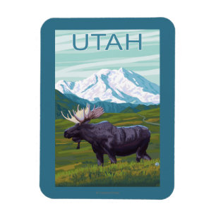 Magnet Flexible Oie avec MountainUtah
