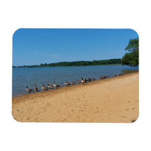 Magnet Flexible Oies au lac Silver, Wisconsin