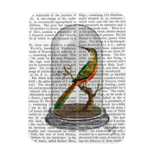 Magnet Flexible Oiseau dans cloche en verre
