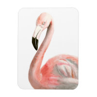 Oiseau de Flamant rose tropical