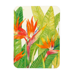 Magnet Flexible Oiseau des fleurs   du paradis tropical