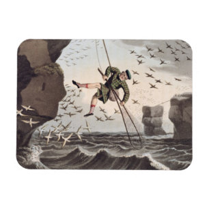 Magnet Flexible Oiseaux captifs d'en haut, gravée par Matthew Dubo