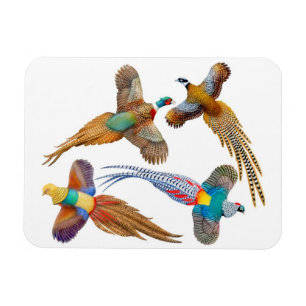 Magnet Flexible Oiseaux de faisan sauvage ornemental Premium Magne