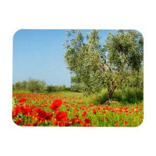 Magnet Flexible Olive tree dans le champ de pavot aimant rectangul