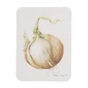 Magnet Flexible Onion Study 1993