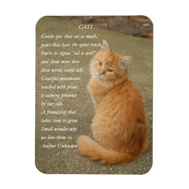 Magnet Flexible Orange Kitten Photo Avec Poème (Vertical)