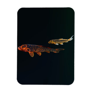 Magnet Flexible Orange Koi et Gold Koi