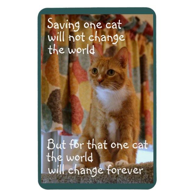 Magnet Flexible Orange Tabby Cat espère être adopté (Vertical)