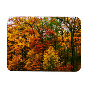 Magnet Flexible Oranges d'automne