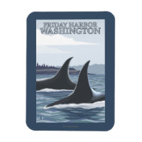 Orca Whales #1 - Friday Harbour, Washington