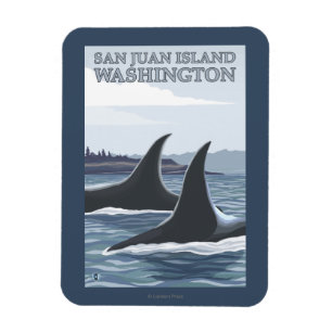 Magnet Flexible Orca Whales #1 - San Juan Island, Washington