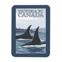 Orca Whales #1 - Victoria, C.-B. Canada