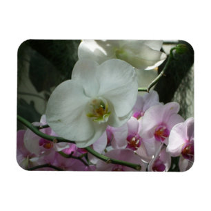Magnet Flexible Orchidées blanches et violettes