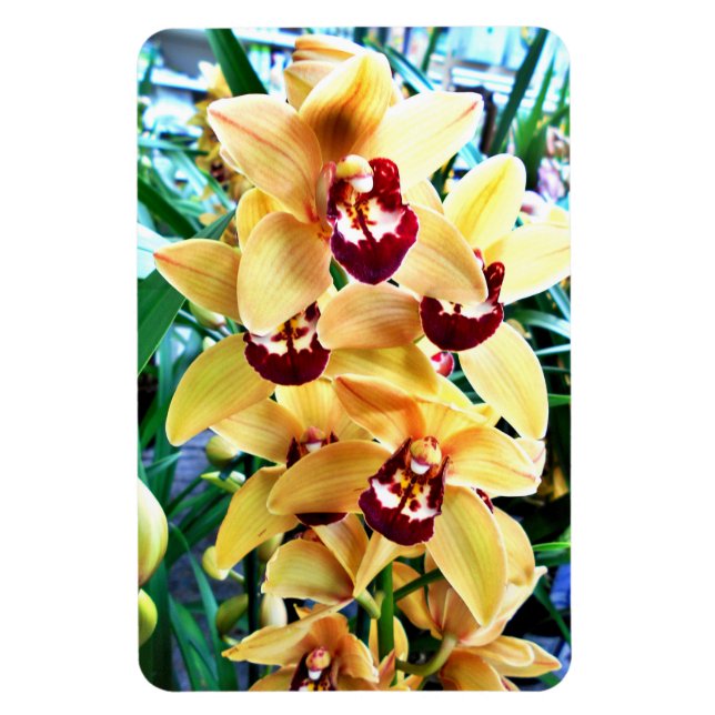 Magnet Flexible Orchidées de Cymbidium Jaune (Vertical)