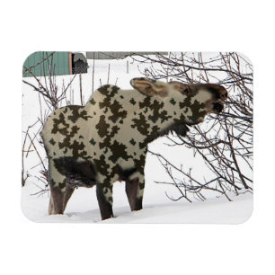 Magnet Flexible Orignaux de camouflage