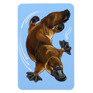 Magnet Flexible ornithorynque