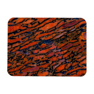 Magnet Flexible Os de dinosaure de Petria rouge