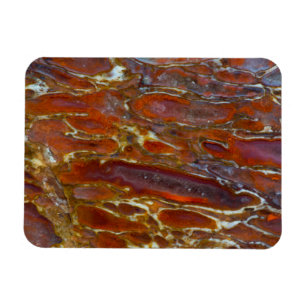 Magnet Flexible Os Petrifié de Dinosaure