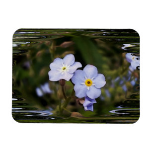 Magnet Flexible Oublie-moi pas les fleurs