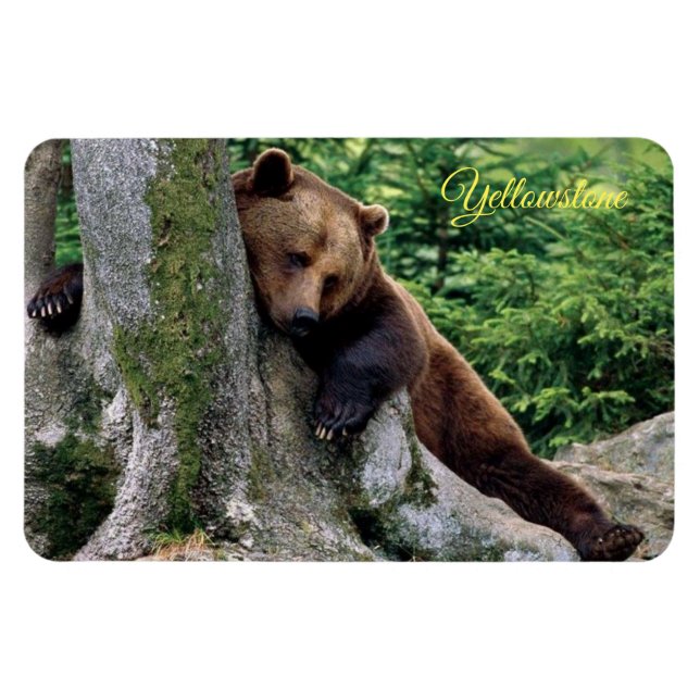 Magnet Flexible Ours Brown de Yellowstone (Horizontal)