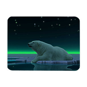 Magnet Flexible Ours polaire à bord de glace