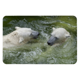Magnet Flexible Ours polaires amusants à l'eau