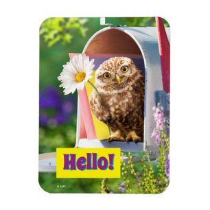 Magnet Flexible Owl With Flower In Mailbox