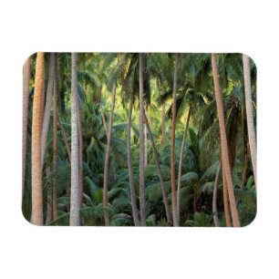 Magnet Flexible Pacifique Sud, Polynésie française, Bora Bora.