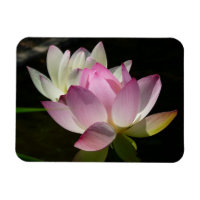 Paire de fleurs de Lotus II