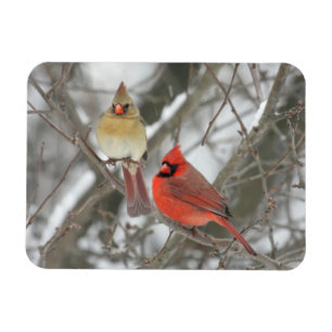 Magnet Flexible Paires de cardinaux du nord