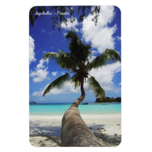 Magnet Flexible Palm sur l'île des Seychelles, Praslin