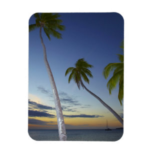 Magnet Flexible Palm trees and sunset, Plantation Island