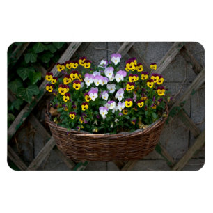 Magnet Flexible Panier avec Violas
