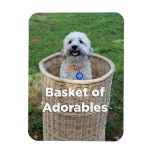 Magnet Flexible Panier d'aimant adorable de Hillary des chiens 4