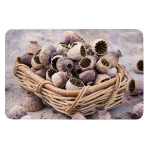 Magnet Flexible Panier de graines de pavot séché