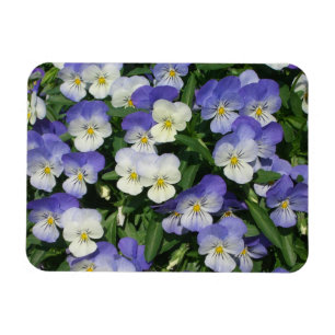 Magnet Flexible Pansies violettes Jardin Floral
