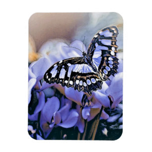 Magnet Flexible Papillon bleu