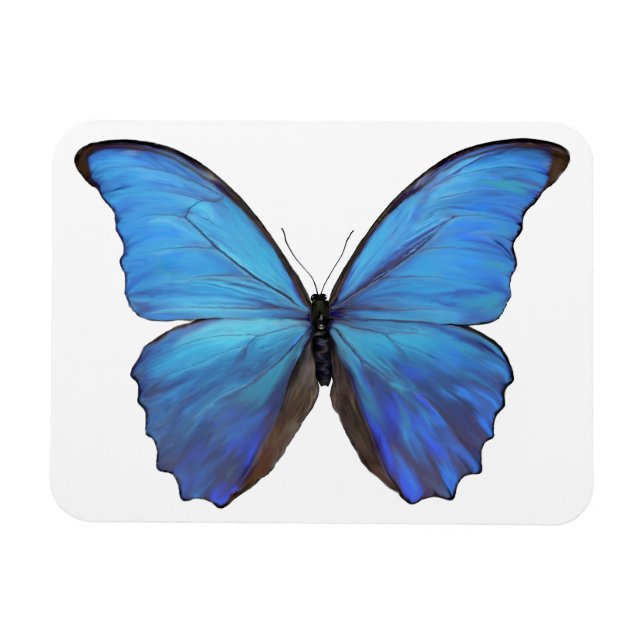 Magnet Flexible Papillon bleu magnétique du réfrigérateur (Horizontal)